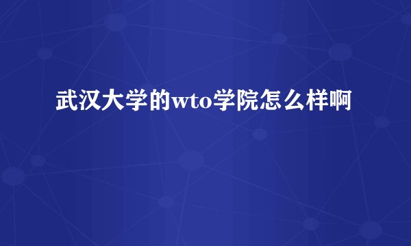 武汉大学的wto学院怎么样啊