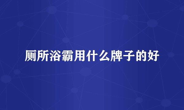 厕所浴霸用什么牌子的好