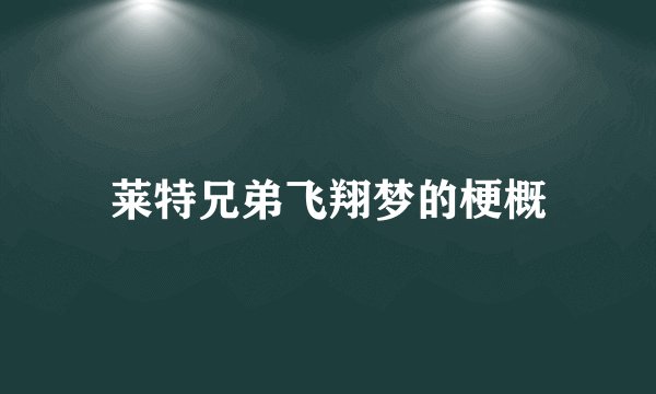莱特兄弟飞翔梦的梗概
