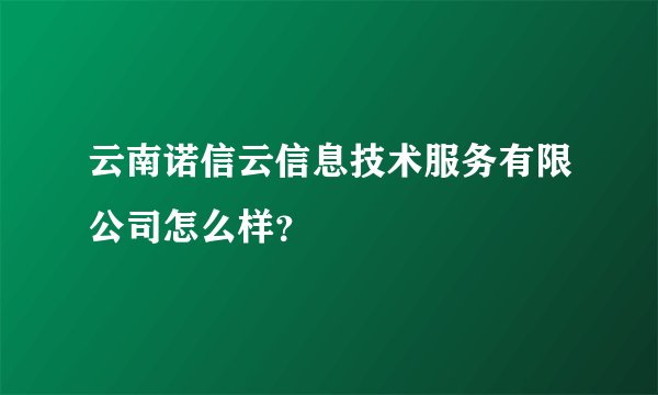 云南诺信云信息技术服务有限公司怎么样？