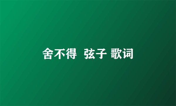 舍不得  弦子 歌词