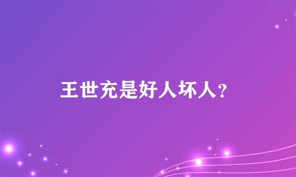 王世充是好人坏人？
