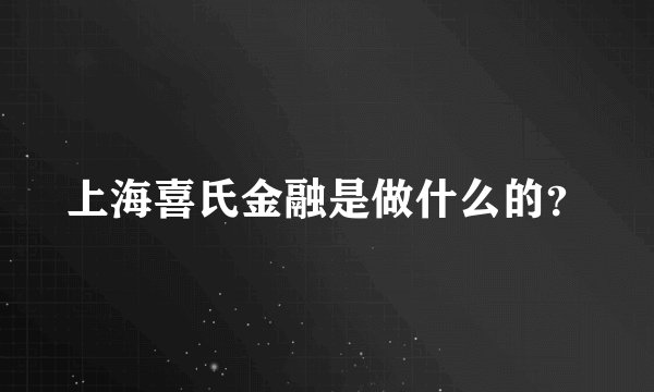 上海喜氏金融是做什么的？