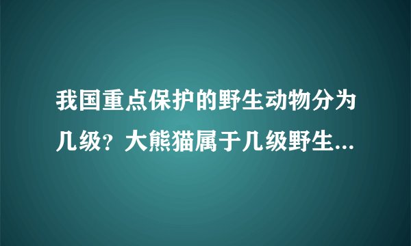 我国重点保护的野生动物分为几级？大熊猫属于几级野生保护动物？还请列举几种国家重点保护的野生动物。