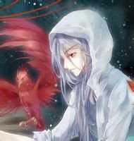 求哑舍胡亥图片，要多点。。