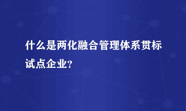 什么是两化融合管理体系贯标试点企业？