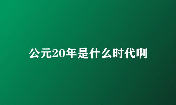 公元20年是什么时代啊
