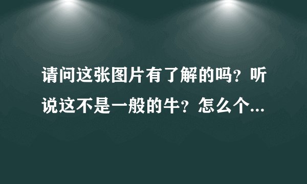 请问这张图片有了解的吗？听说这不是一般的牛？怎么个不一般啊？