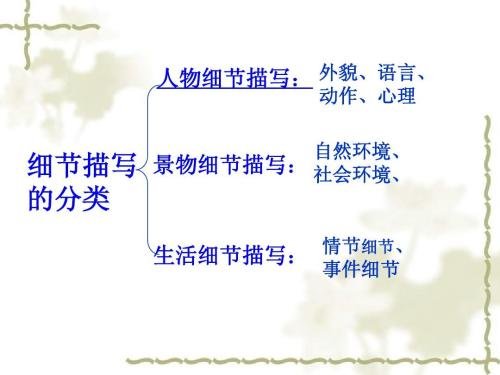 细节描写是什么？