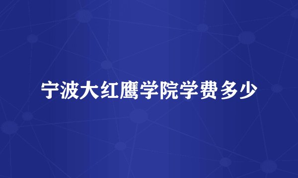 宁波大红鹰学院学费多少