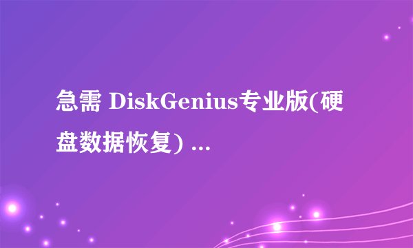 急需 DiskGenius专业版(硬盘数据恢复) 4.6.2 的注册码?