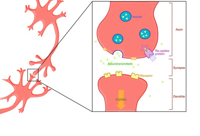 创伤后应激障碍的临床表现