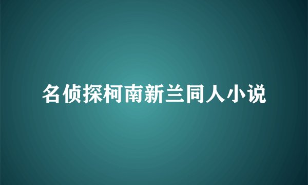 名侦探柯南新兰同人小说