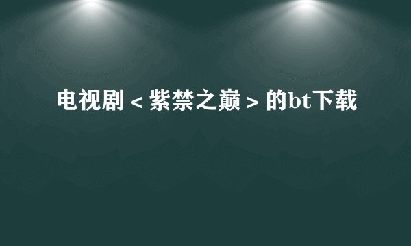 电视剧＜紫禁之巅＞的bt下载