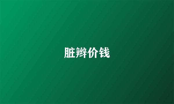 脏辫价钱