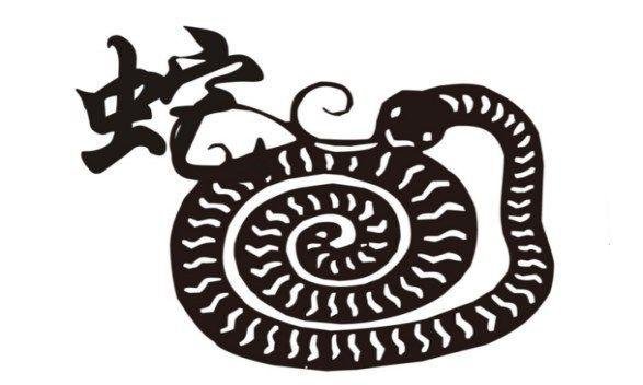 属蛇人2019年运势