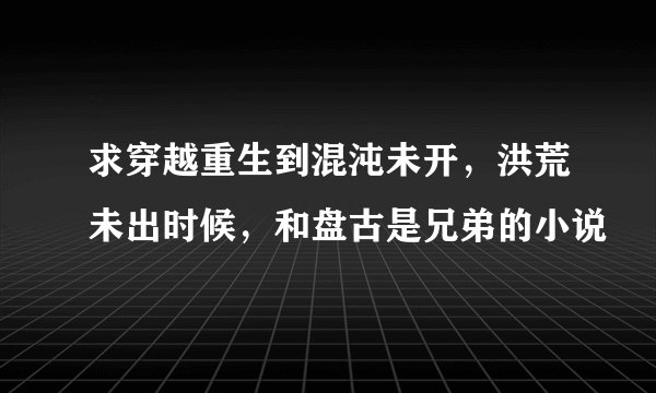 求穿越重生到混沌未开，洪荒未出时候，和盘古是兄弟的小说