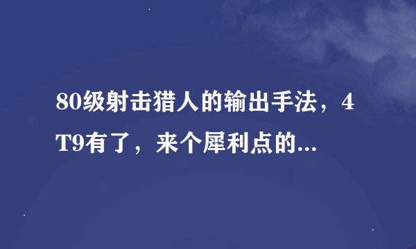 80级射击猎人的输出手法，4T9有了，来个犀利点的啊~~~