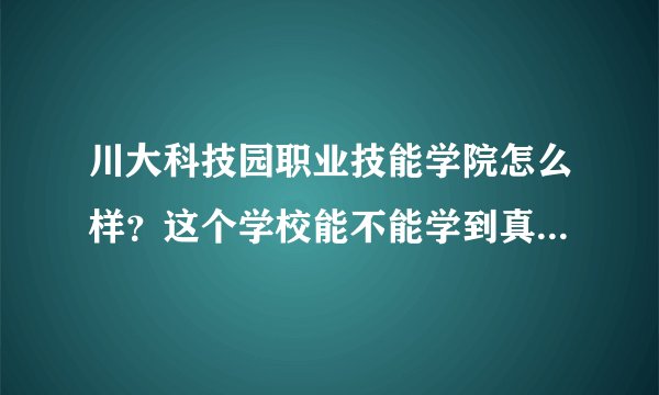 川大科技园职业技能学院怎么样？这个学校能不能学到真技术？是不是骗子学校？