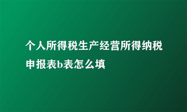 个人所得税生产经营所得纳税申报表b表怎么填