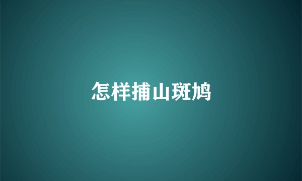 怎样捕山斑鸠