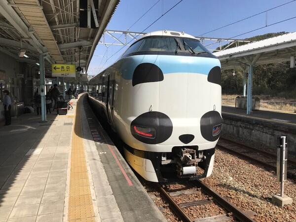 12306可以预定熊猫专列啦！你知道该怎么操作吗？