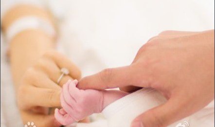 陈思成出轨他老婆是谁？