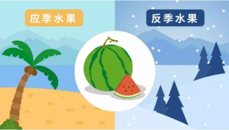 反季节的蔬菜到底有害吗