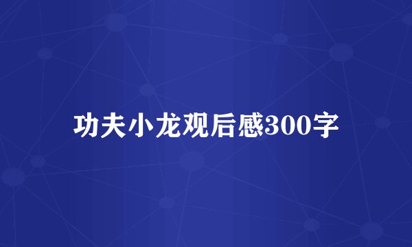 功夫小龙观后感300字