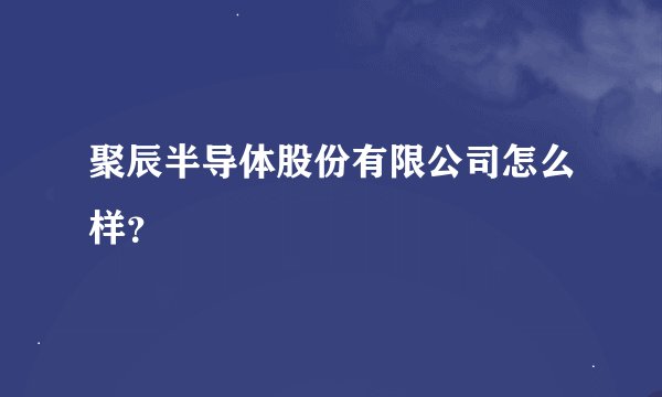 聚辰半导体股份有限公司怎么样？