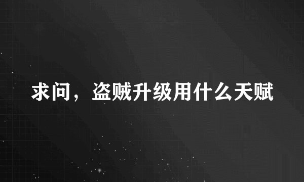 求问，盗贼升级用什么天赋