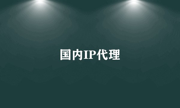 国内IP代理
