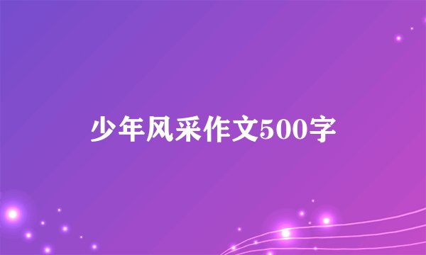 少年风采作文500字