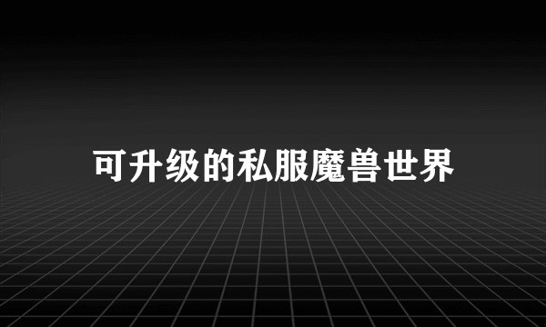 可升级的私服魔兽世界