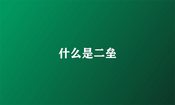 什么是二垒