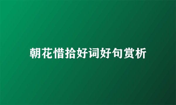 朝花惜拾好词好句赏析
