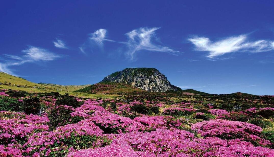 《义勇军进行曲》的词，曲作者是谁