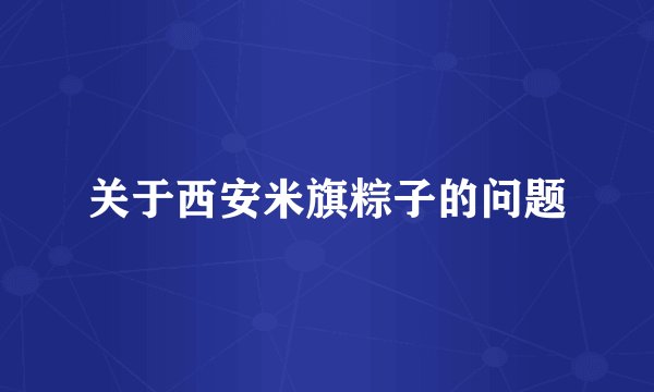 关于西安米旗粽子的问题