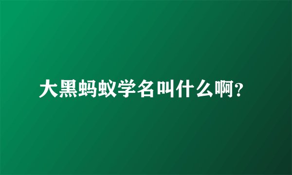大黑蚂蚁学名叫什么啊？