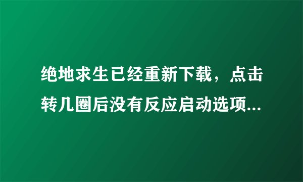 绝地求生已经重新下载，点击转几圈后没有反应启动选项已设置，游戏完整性一文件验证失败。
