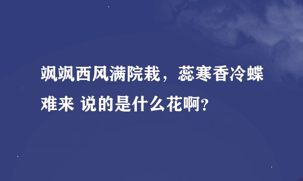 飒飒西风满院栽，蕊寒香冷蝶难来 说的是什么花啊？
