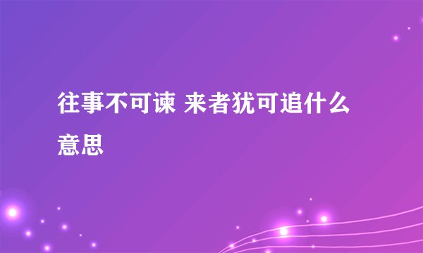 往事不可谏 来者犹可追什么意思