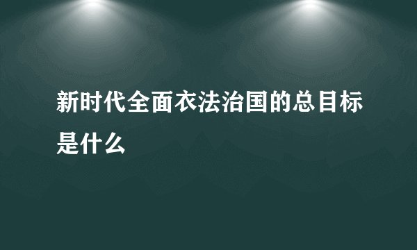 新时代全面衣法治国的总目标是什么