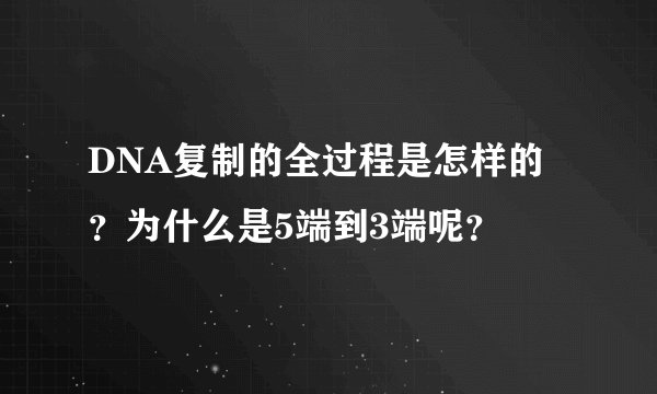 DNA复制的全过程是怎样的?为什么是5端到3端呢?