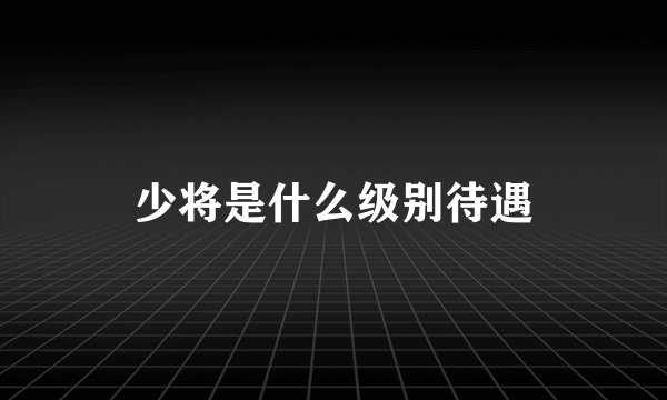 少将是什么级别待遇