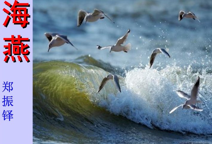 需郑振铎的海燕原文一篇！ 全文！