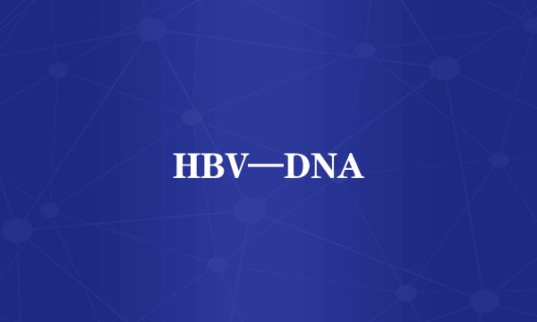 HBV—DNA