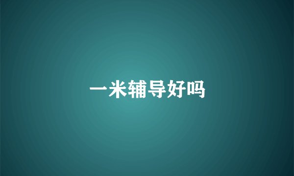 一米辅导好吗