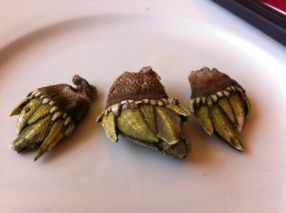 大神们，这个是什么。