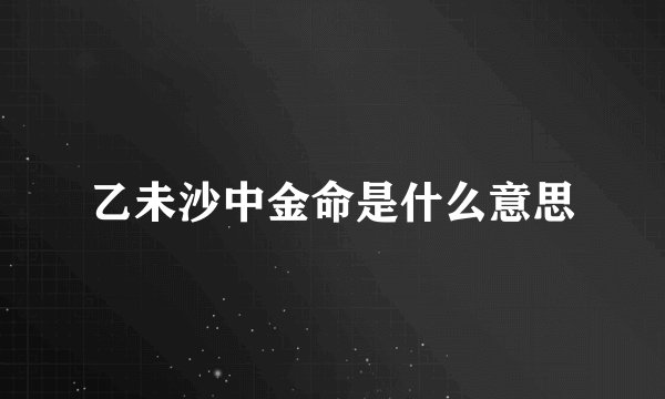 乙未沙中金命是什么意思